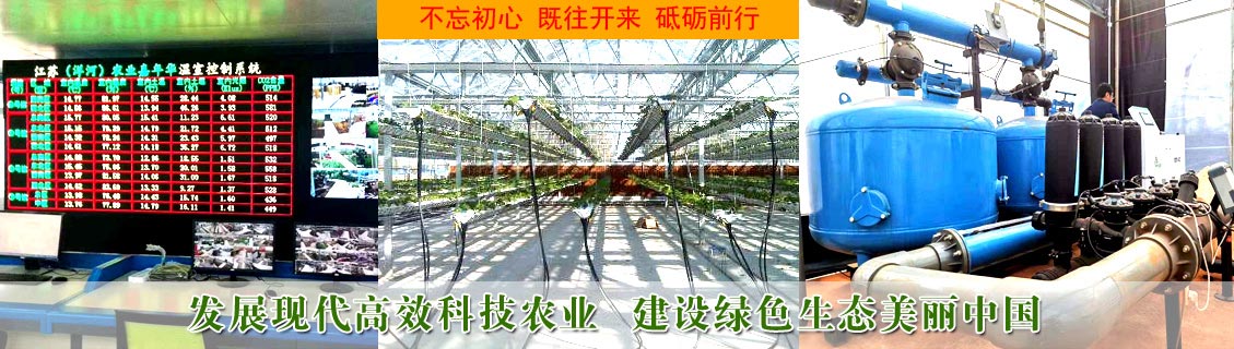 智能陽光板溫室