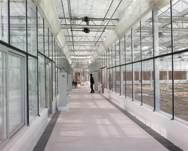科研溫室建設